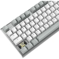 Клавиатура A4Tech Fstyler FS100 Neon (серебристый/серый) фото 18